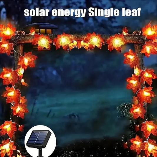 Solar-powered leaf-shaped string lights on a wooden arch with a night-time background.