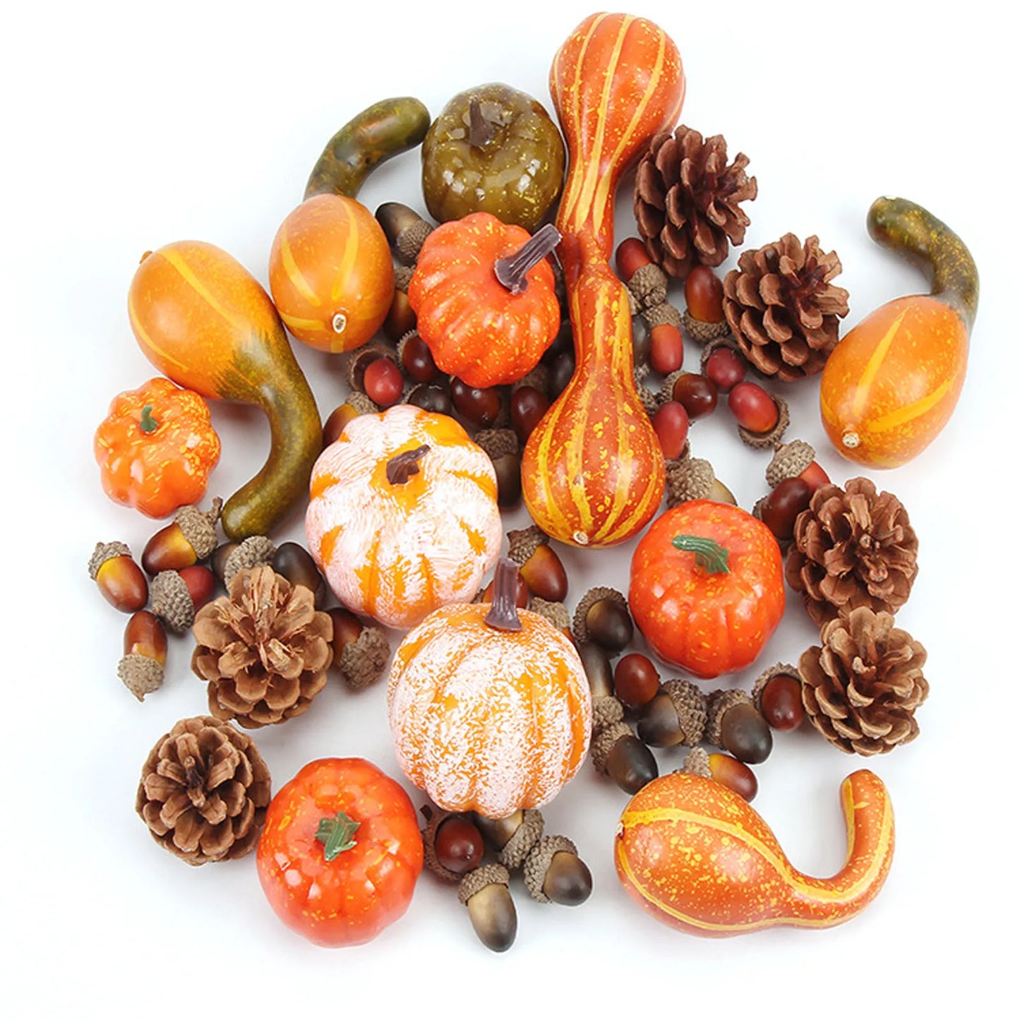 Assorted gourds, pumpkins, and pinecones on a white background
