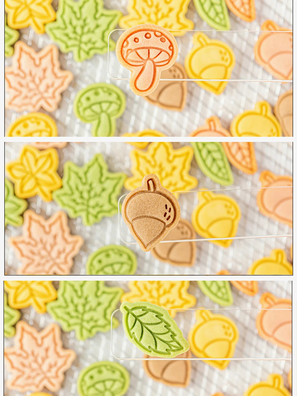 Set of autumn-themed cookie cutters on a white background
