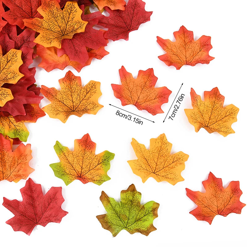 Assorted colored maple leaves with measurements on a white background