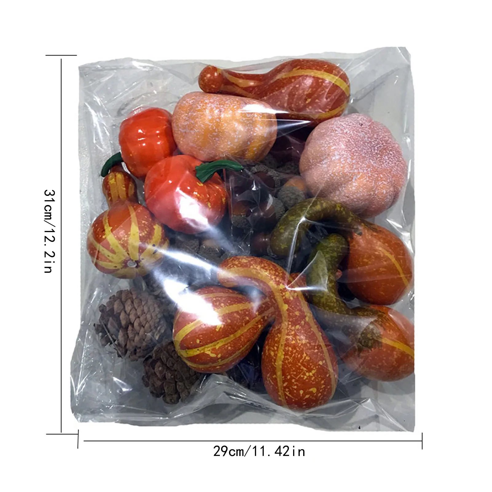 Bag of decorative gourds and pumpkins with dimensions on a white background