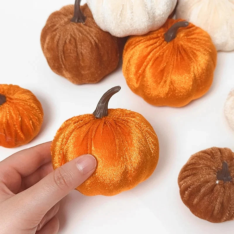 Hand holding a small orange pumpkin among other pumpkins on a white background