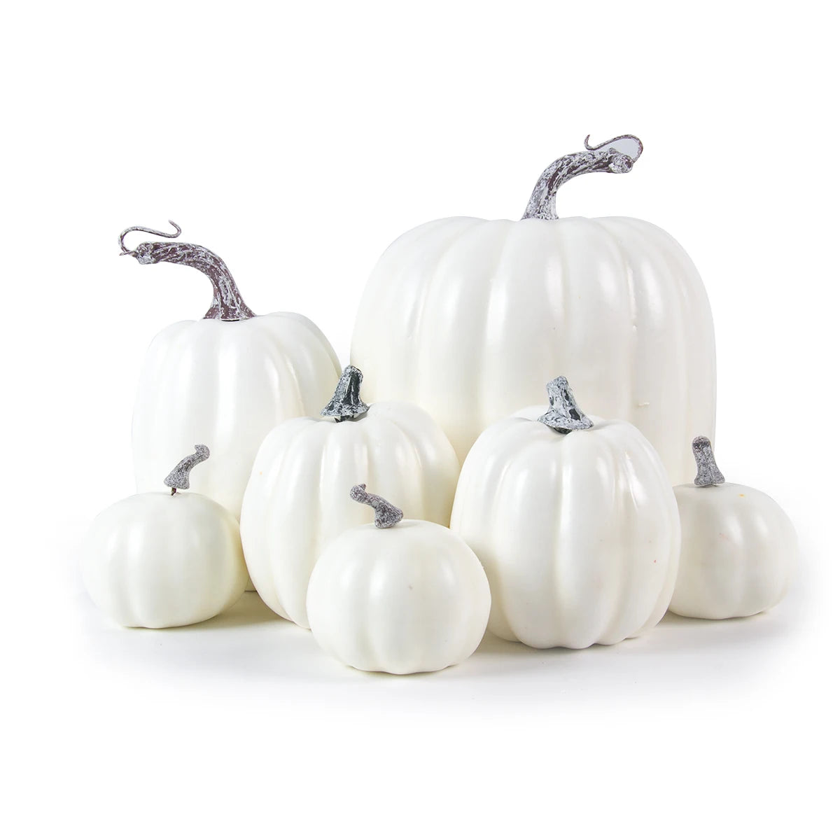 White pumpkins with gray stems on a white background