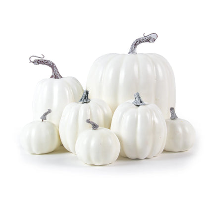 White pumpkins with gray stems on a white background