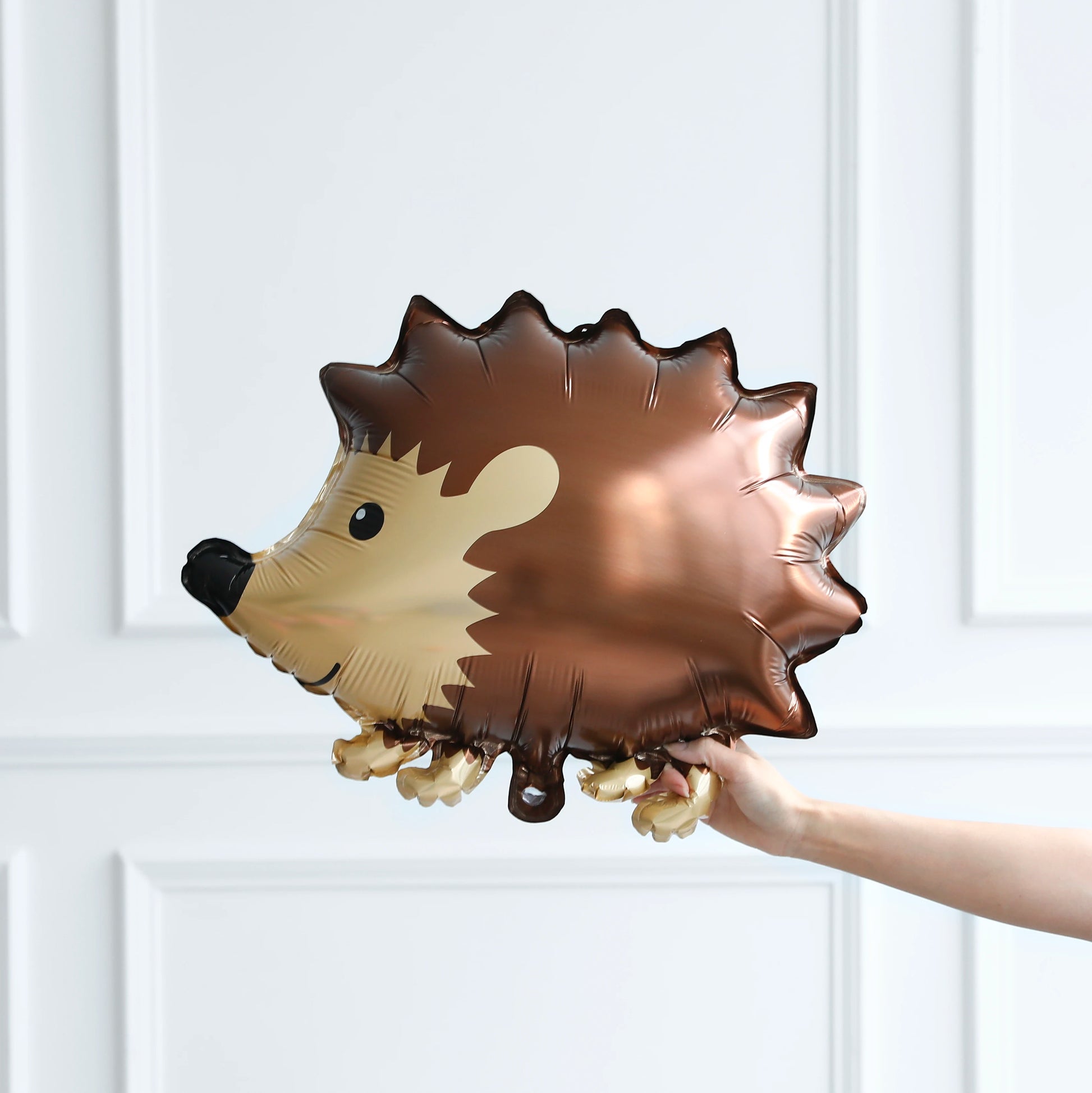Hedgehog-shaped balloon held against a white paneled background