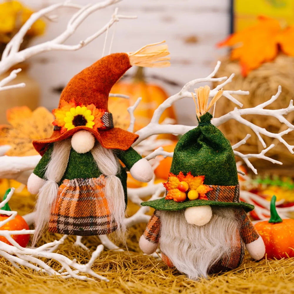 Two festive gnomes with autumn-themed hats and outfits on a decorative background.